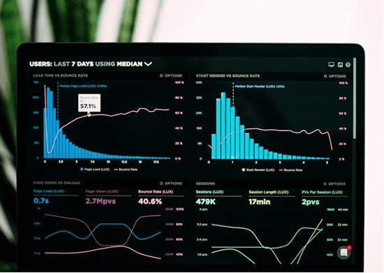 Zoikologia analytics dashboard